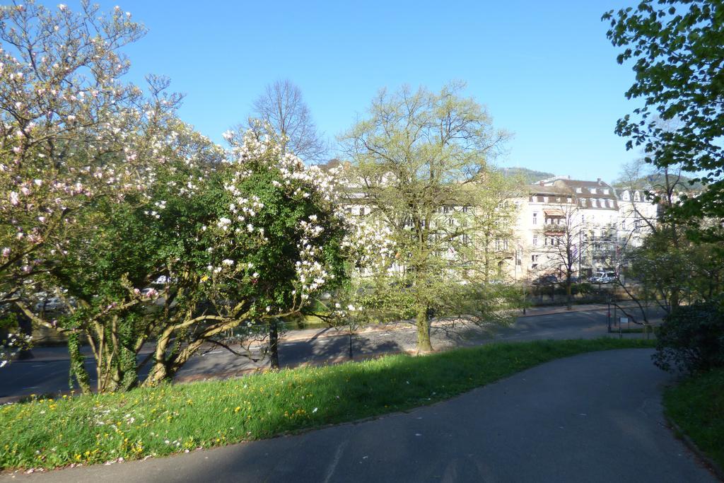 Colibri Apartment Baden-Baden Exteriér fotografie